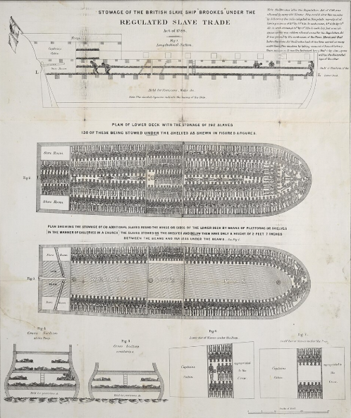 The Brookes Slave Ship Diagram