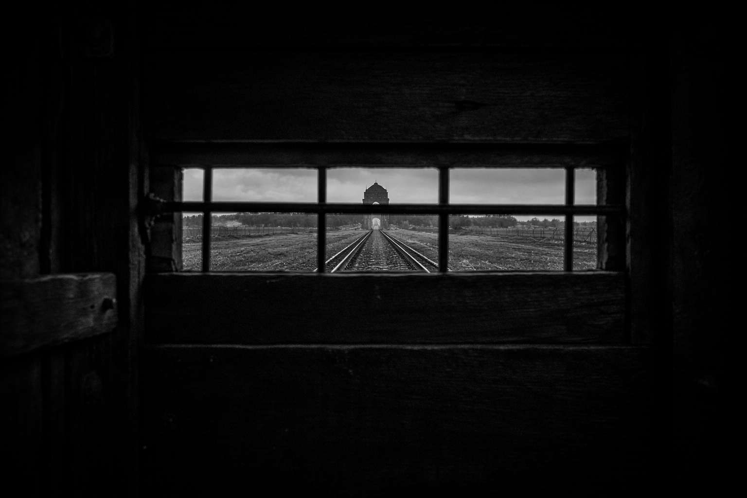View from inside a cattle car