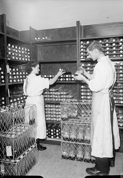 Mass Production of Penicillin